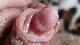 Intense Focus On My Throbbing And Massive Clitoris Head